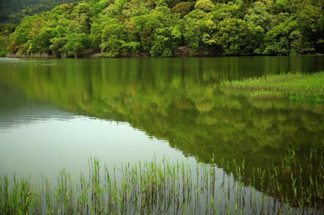 Hirosawa Pond