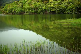 Hirosawa Pond