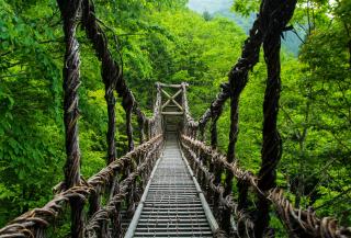 Kazurabashi Bridge, Iya Valley