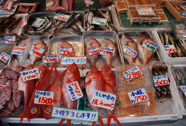 Tsukiji Fish Market, Tokyo