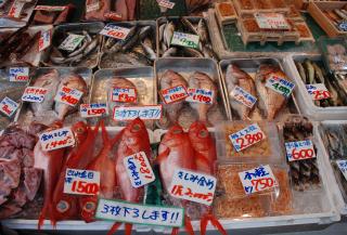 Tsukiji Fish Market, Tokyo